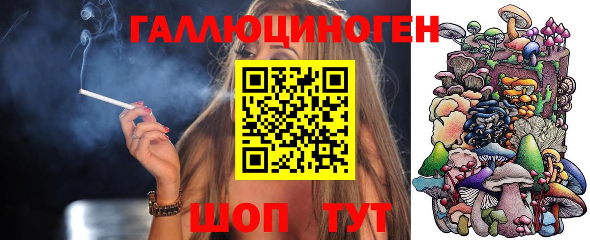 Удомля  Галлюциногенные грибы прущие грибы  Вход с VPN 